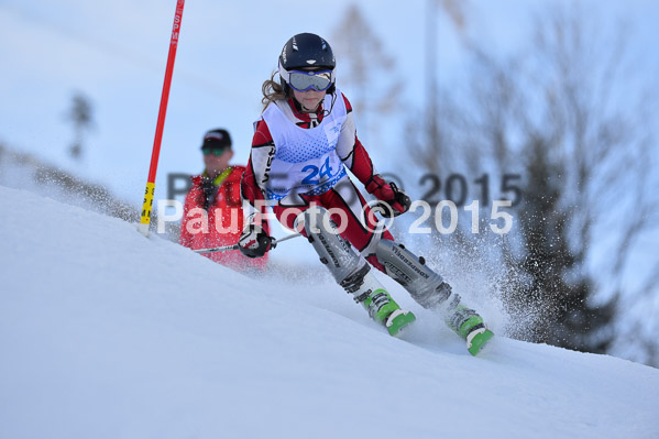 Sechzger Pokal SL 2015