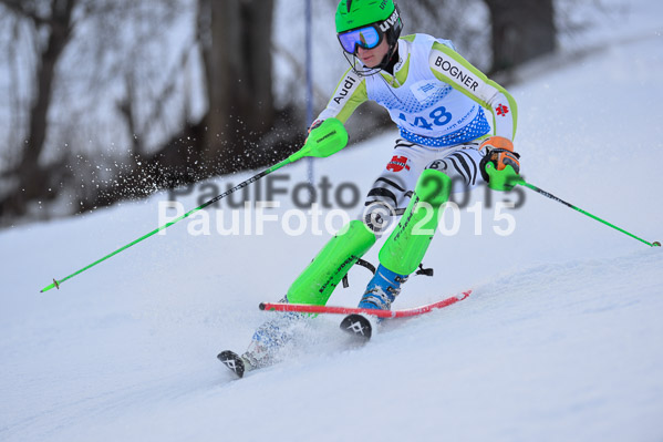 Sechzger Pokal SL 2015