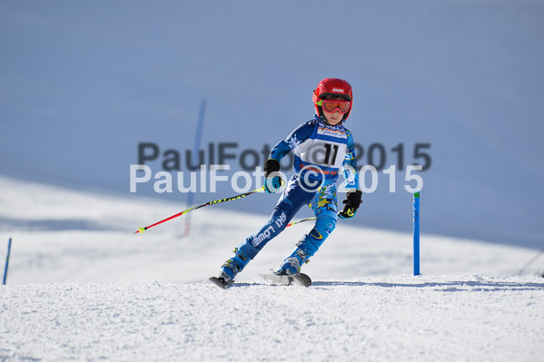 Sechzger Pokal U8/U10 2015