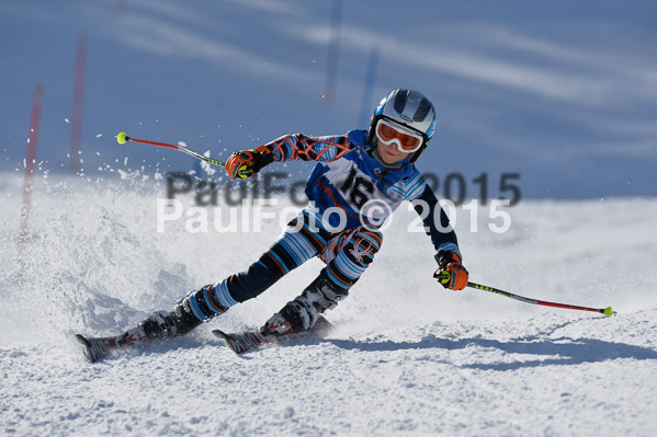 Sechzger Pokal U8/U10 2015