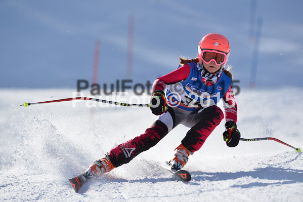 Sechzger Pokal U8/U10 2015