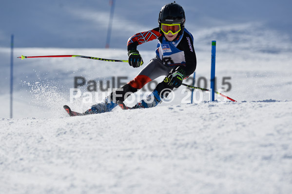 Sechzger Pokal U8/U10 2015