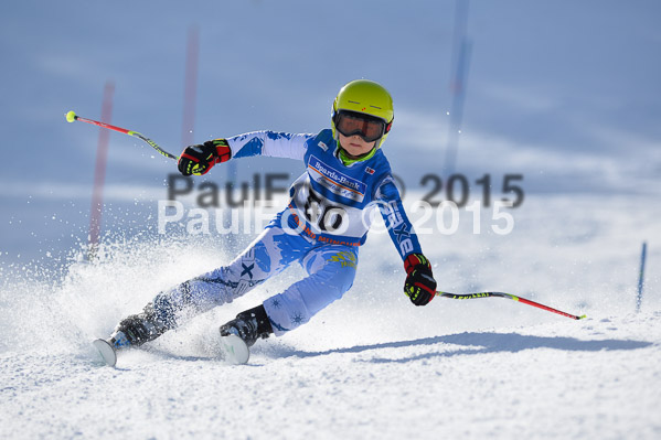Sechzger Pokal U8/U10 2015