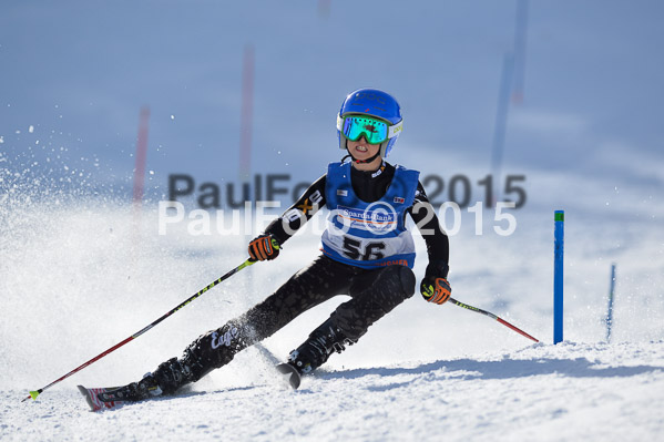 Sechzger Pokal U8/U10 2015