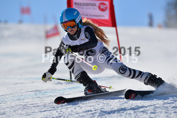 DSV Schülercup U14 V 2015