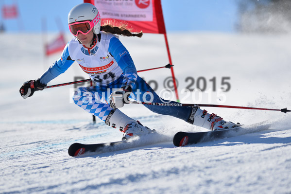 DSV Schülercup U14 V 2015