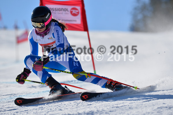 DSV Schülercup U14 V 2015