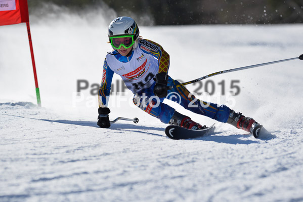 DSV Schülercup U14 V 2015
