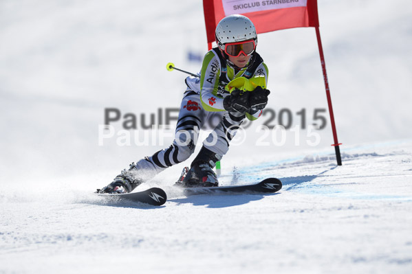 DSV Schülercup U14 V 2015