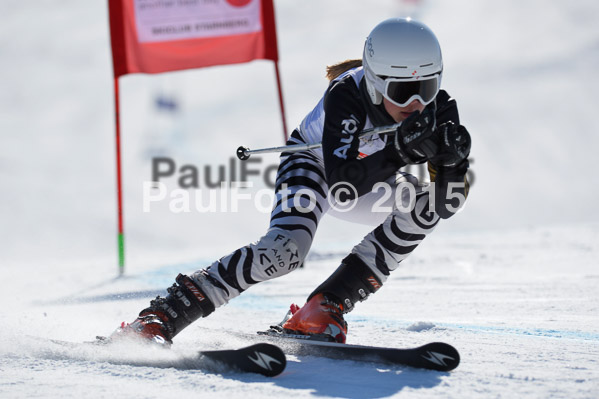 DSV Schülercup U14 V 2015