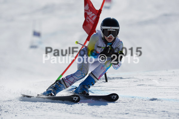 DSV Schülercup U14 V 2015
