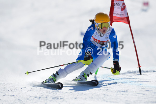 DSV Schülercup U14 V 2015