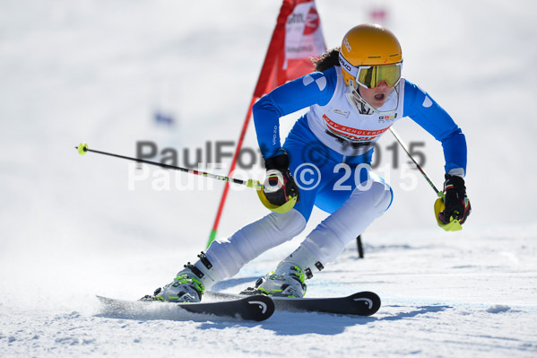 DSV Schülercup U14 V 2015
