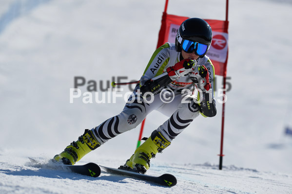 DSV Schülercup U14 V 2015