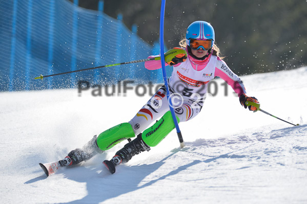 DSV Schülercup U14 VI 2015