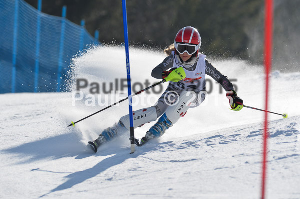 DSV Schülercup U14 VI 2015