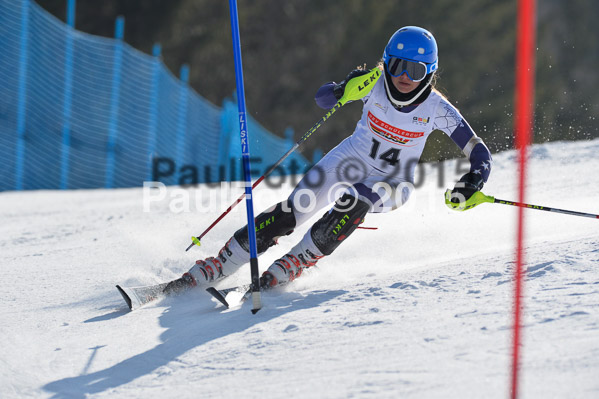 DSV Schülercup U14 VI 2015