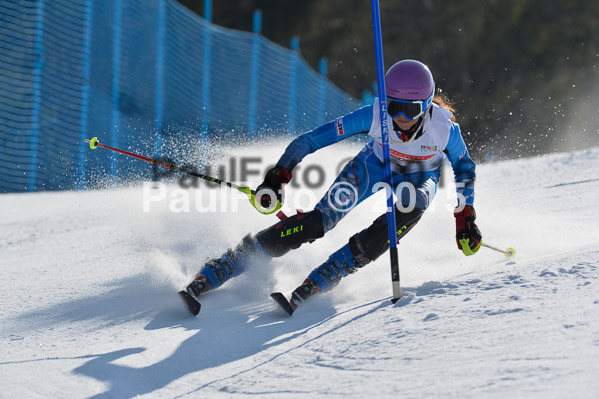 DSV Schülercup U14 VI 2015