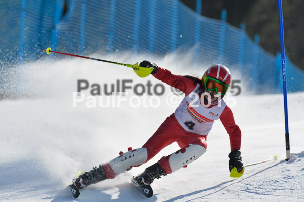 DSV Schülercup U14 VI 2015
