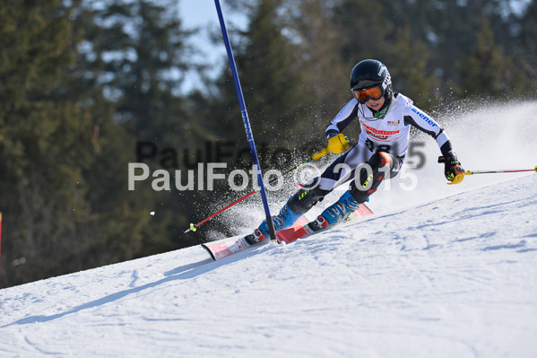 DSV Schülercup U14 VI 2015