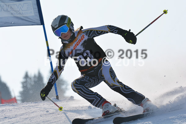 ASV Ziener Cuo V 2015