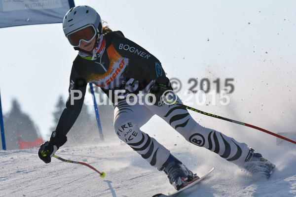ASV Ziener Cuo V 2015