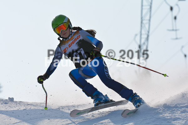 ASV Ziener Cuo V 2015