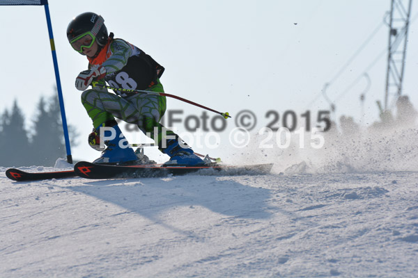 ASV Ziener Cuo V 2015