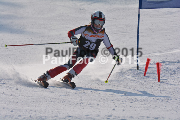 ASV Ziener Cuo V 2015