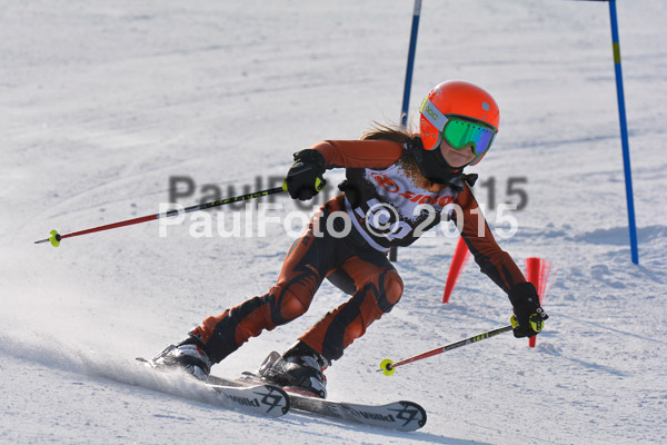 ASV Ziener Cuo V 2015