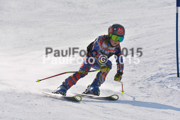 ASV Ziener Cuo V 2015