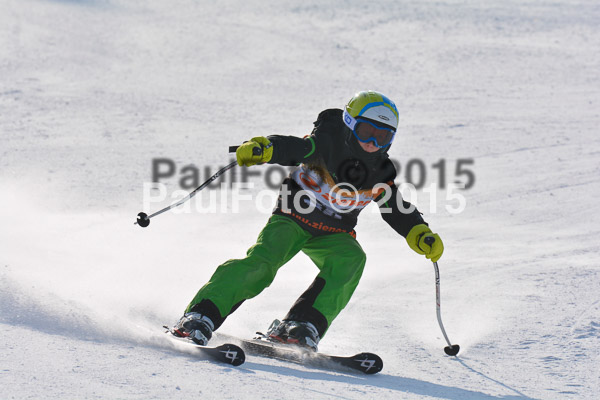 ASV Ziener Cuo V 2015