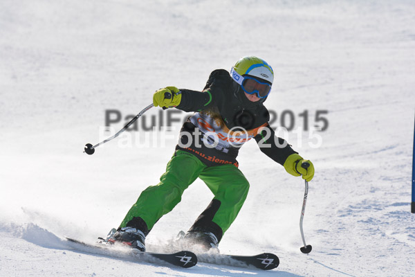 ASV Ziener Cuo V 2015