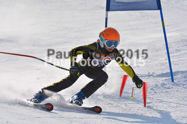ASV Ziener Cuo V 2015