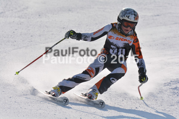ASV Ziener Cuo V 2015