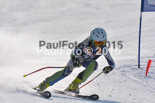 ASV Ziener Cuo V 2015