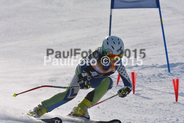ASV Ziener Cuo V 2015