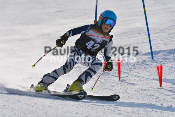 ASV Ziener Cuo V 2015