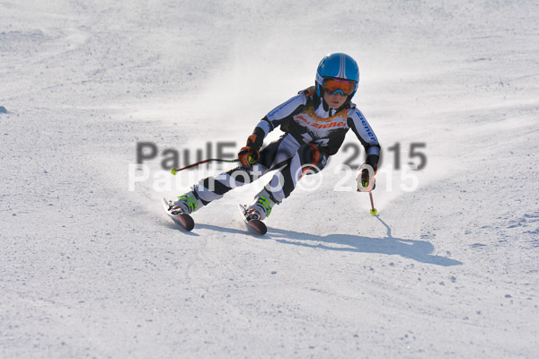 ASV Ziener Cuo V 2015