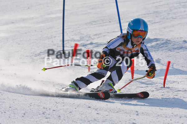 ASV Ziener Cuo V 2015