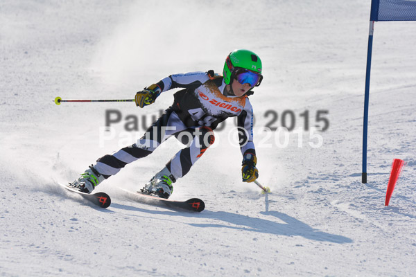 ASV Ziener Cuo V 2015
