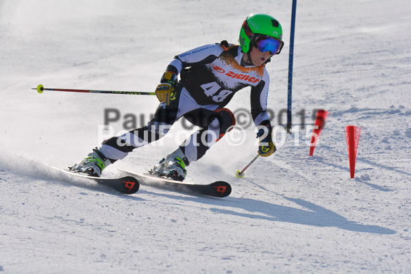 ASV Ziener Cuo V 2015