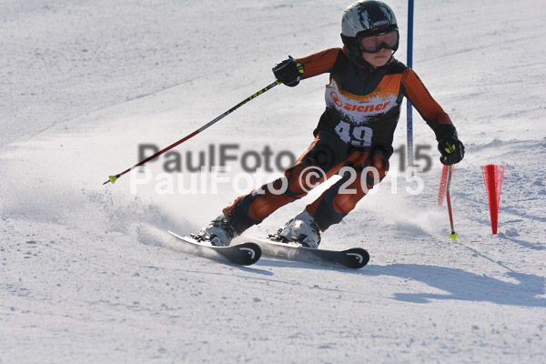 ASV Ziener Cuo V 2015