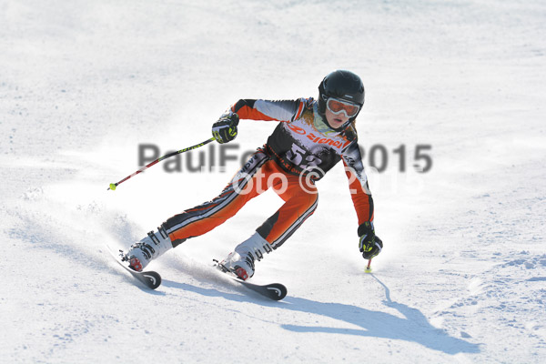 ASV Ziener Cuo V 2015