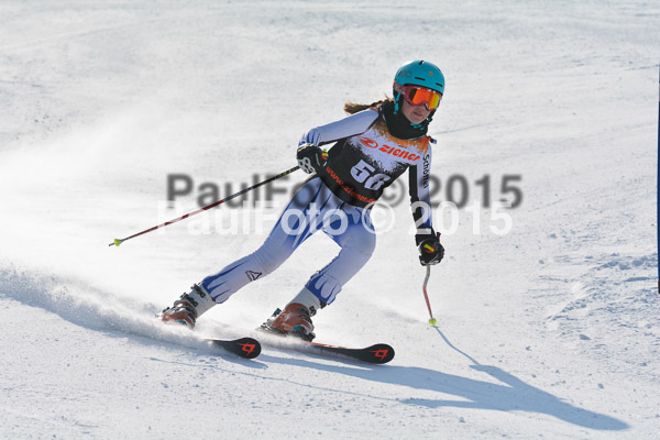 ASV Ziener Cuo V 2015