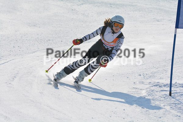 ASV Ziener Cuo V 2015