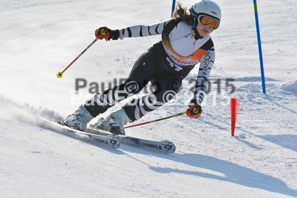 ASV Ziener Cuo V 2015