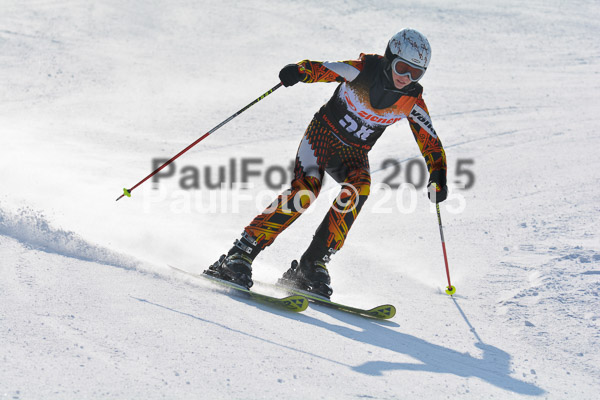 ASV Ziener Cuo V 2015
