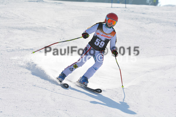 ASV Ziener Cuo V 2015