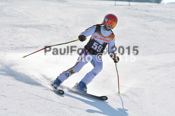 ASV Ziener Cuo V 2015